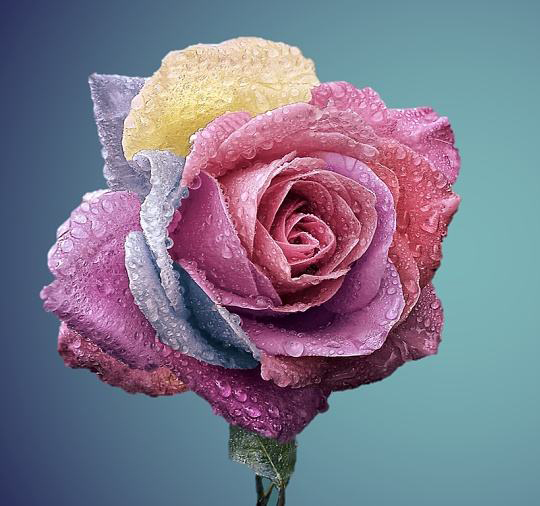 汇胜反光漆恭祝母亲节