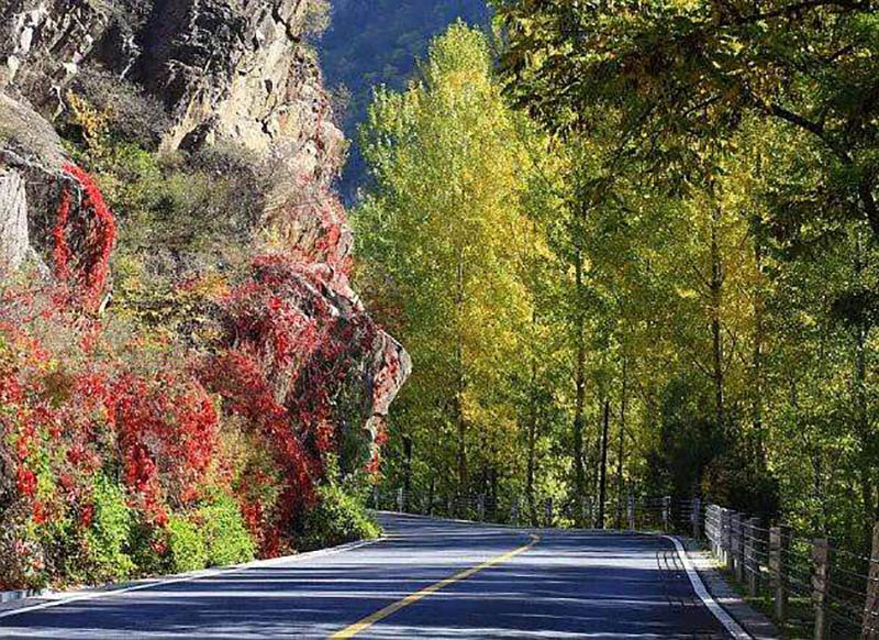 红白警示漆 红白警示漆